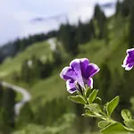 瑞丁民宿 Mühlbach am Hochkönig