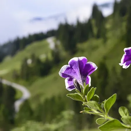 Rieding Mühlbach am Hochkönig